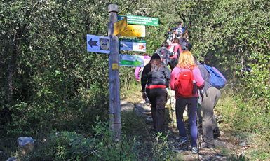 Ruta del Carter (Albanyà)